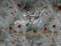 ماه حرام و اعدام در زندان وکیل آباد مشهد