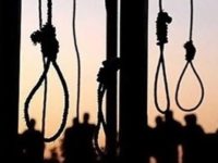 خطر اعدام قریب الوقوع چهار مرد و دو زن در شیراز